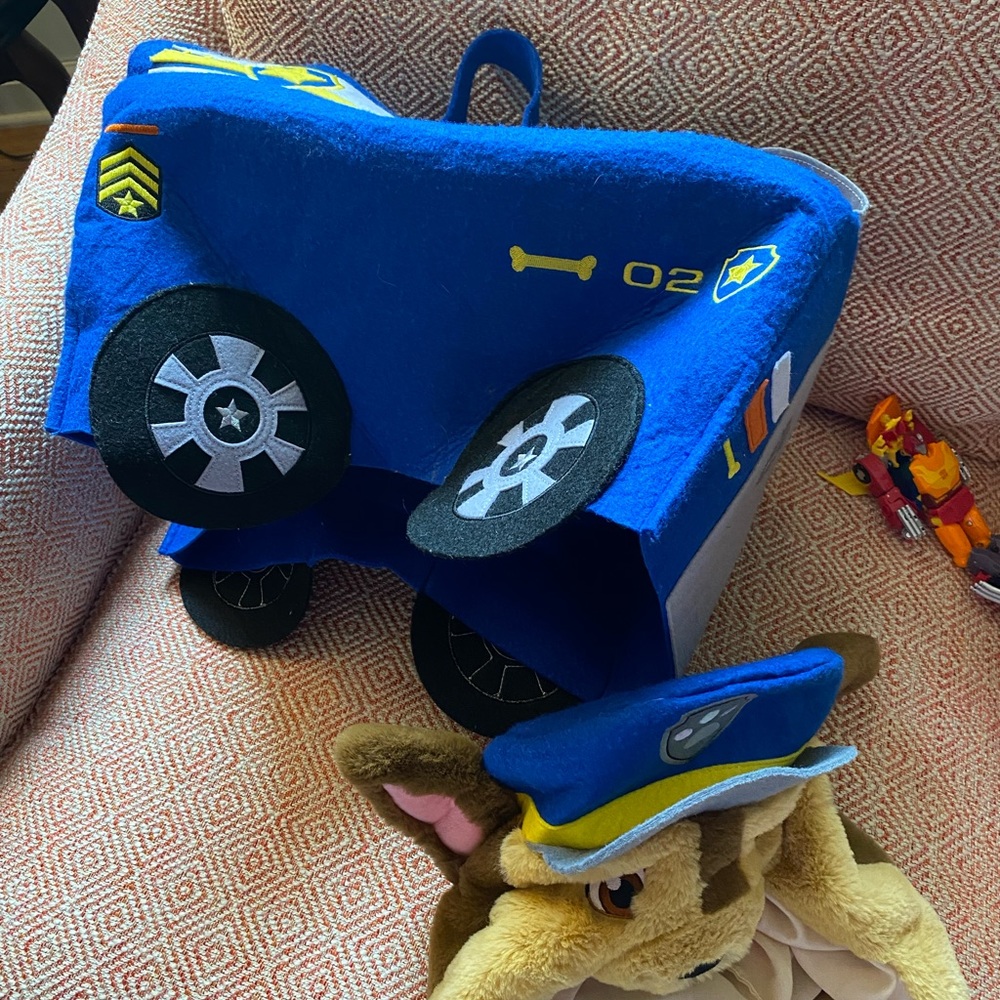 Paw patrol costume